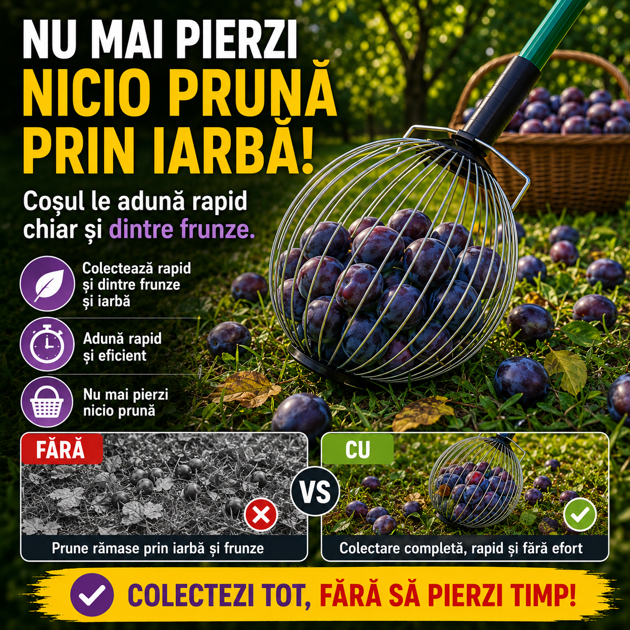 Culegǎtor manual pentru nuci, prune, mere, castane şi alune